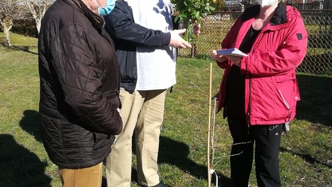Rosen_fuer_die_Kitaleiterin.jpg